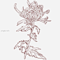 手绘菊花线描花卉图片大小2200x2200px 图片尺寸773.26 KB 来自PNG搜索网 pngss.com 免费免扣png素材下载！卡通插画#美丽的花卉#漂亮的菊花#手绘花卉插画#线描的花卉#绽放的花卉#装饰图案#