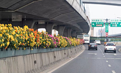 一而再再而三˙ϖ˙采集到B 街道、道路