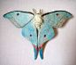 


 Yumi Okita: Butterflies Sculptures