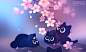 hanami ( live wallpaper )