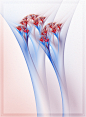 glassflower - 