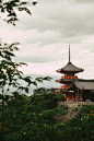 kyoto / japan : Documentary shots taken during my travels through Japan.June - 2019