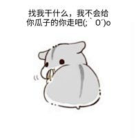 听离采集到/小仓鼠/Hamster/