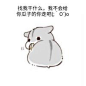 小仓鼠-兴趣部落