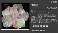 【一人一世界】采集到多肉植物标签