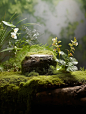 高清植物背景图底图 - 小红书
