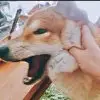 追风少年11111