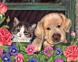 Jane Maday有爱动物绘本插画作品欣赏(3)