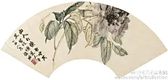 #海上画派#【 清 赵之谦 《陶炼野逸册》② 】此册款题取法多人，所谓取法者，实际上都是画为某家所擅名的题材，譬如陆治的藤萝、徐渭的墨荷、石涛的水仙、金农的梅花和李鱓的绣球、芍药、菊花，以及钱载的兰石，具体的画法则全然出乎于己，李、恽技法的结合已经相当熟练。作者作此册时年35岁。上接①…