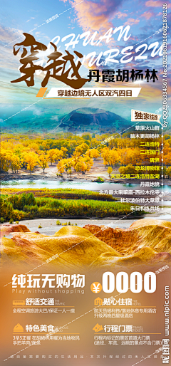 仲达而已采集到旅游海报