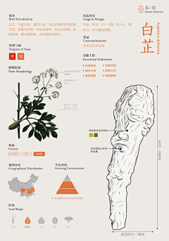 RibenaSan采集到信息图表 | Infographic Design