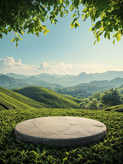 于是小鱼采集到背景