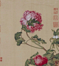 超清晰版本 郎世宁《花鸟图册》更多精彩内容敬请关注：#微信公众号  致中文化# #寻根文化太美# #花鸟#