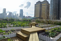 月凝橙采集到公园·学校