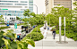 布法罗尼亚加拉医学校园街景Buffalo Niagara Medical Campus Streetscape by scapestudio-mooool设计