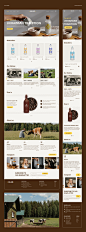 SVOЇ Dairy: ui/ux web&mobile concept on Behance