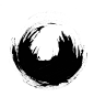 大胆的毛笔PS笔刷素材（PNG & ABR）Swirls＆Strokes Brushes Set #2704742