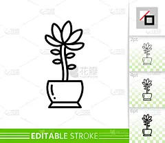 仙人掌肉质植物简单直线矢量图标