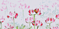 20200121184414_ordbg.thumb.1000_0.gif (500×250)