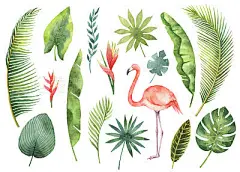 Watercolor set tropical leaves and branches isolated on white background.