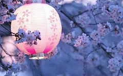 【中文填词】梦与叶樱【榴花不见簪秋雪】_翻唱_音乐_bilibili_哔哩哔哩弹幕视频网