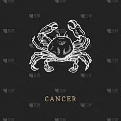 图标,巨蟹座,雕刻图像,华丽的,模板,古董,古典式,绘制,复古