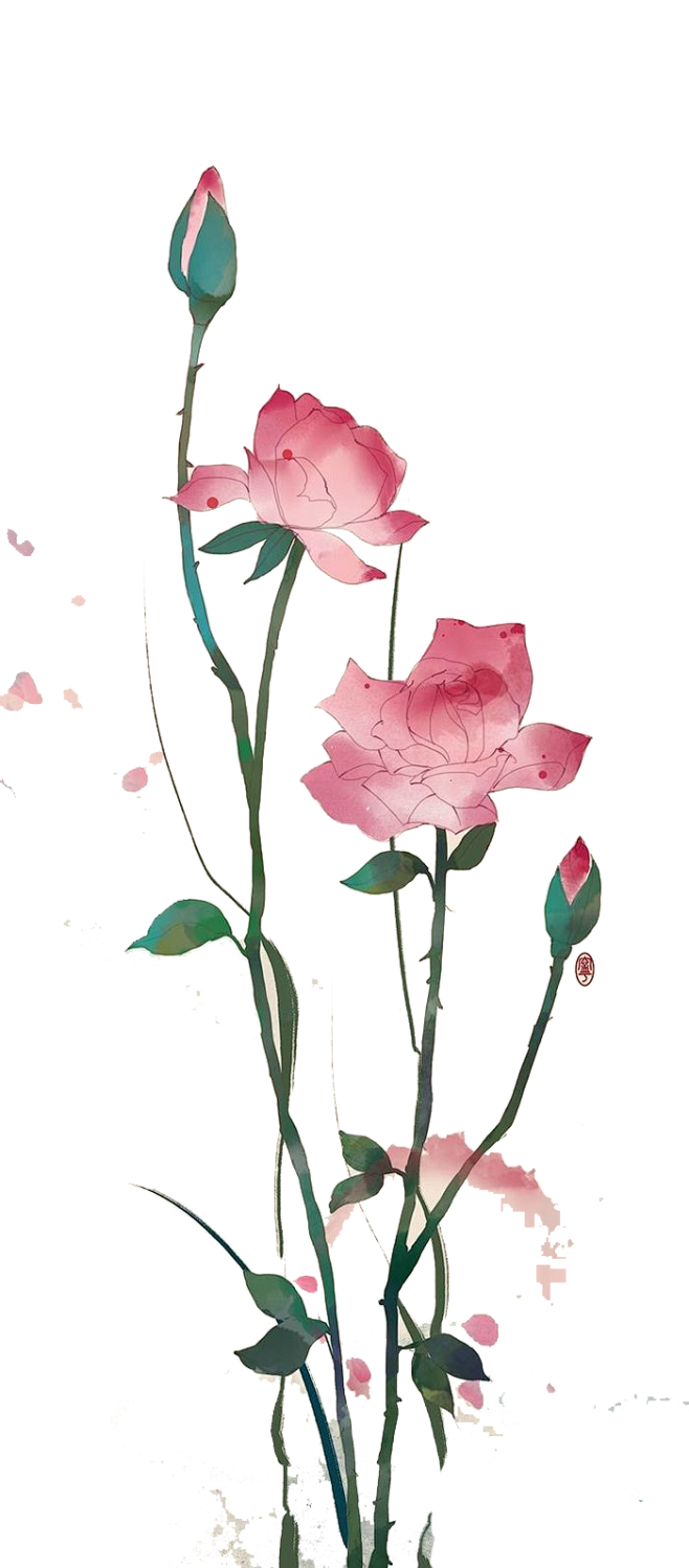 荷花 (126)