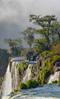(89) Pinterest