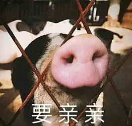 今日神段丨没事别看老年人的朋友圈，怕你因...