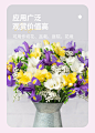虹越香雪兰种球重瓣花卉阳台庭院盆栽室外种植多年生耐寒简单易养-tmall.com天猫
