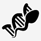dna复制基因组螺旋分子图标_88ICON https://88icon.com dna复制 基因组螺旋 分子 分子结构 科学 精子 螺旋 螺旋结构