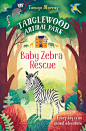 “Baby Zebra Rescue” at Usborne Children’s Books