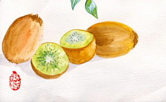 RQMR7sGu采集到插画