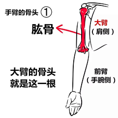 木木嘛采集到身体