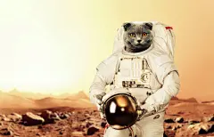 点击来源直接获取大图文件 |太空猫在红色星球火星上行走。太空任务。宇航员在太空旅行
