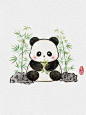 熊猫插画｜熊猫图案｜印花设计｜竹子插画
