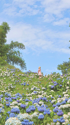 成名在望i采集到场景