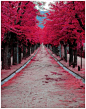 酒红色的西班牙街道...令人醉心的美！