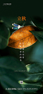 【源文件下载】 海报 房地产 二十四节气 立秋 简约 叶子 139941