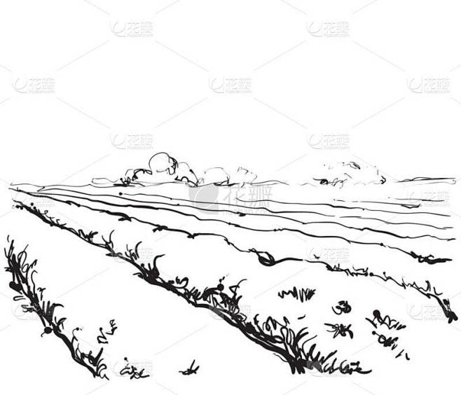 草绘自然景观插图。字段