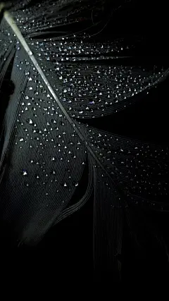 黑色质感纹理手机桌面壁纸