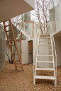 House before House _Sou FUJIMOTO    Photo by Woranol Sattayavinij