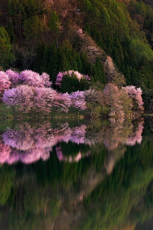sublim-ature:

Saita...