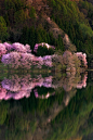 sublim-ature:

Saitama, JapanChikako Yagi
