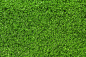 Grass Texture - Bing Images: 