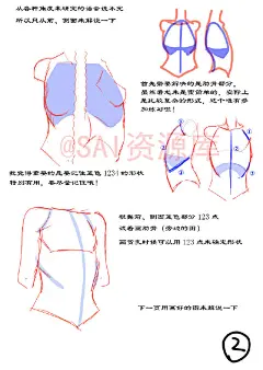#SAI资源库# 动漫女性人物胸的绘画思路及方法借鉴，自己收藏，转需~（画师：ほ～さく ）