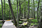Strandskogen Arninge Ullna by Topia « Landscape Architecture Platform | Landezine