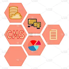 彩色卡通图案的cms元素。六边形箭头向右。