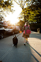 人,城市,教育,户外,居住区_129232050_Girl walking family pet in the evening_创意图片_Getty Images China
