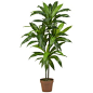 nearly natural Silk 48-in. Dracaena Plant, Green